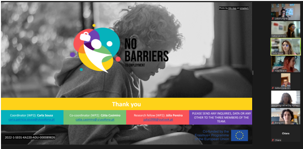 No barriers WP2 online meeting 1
